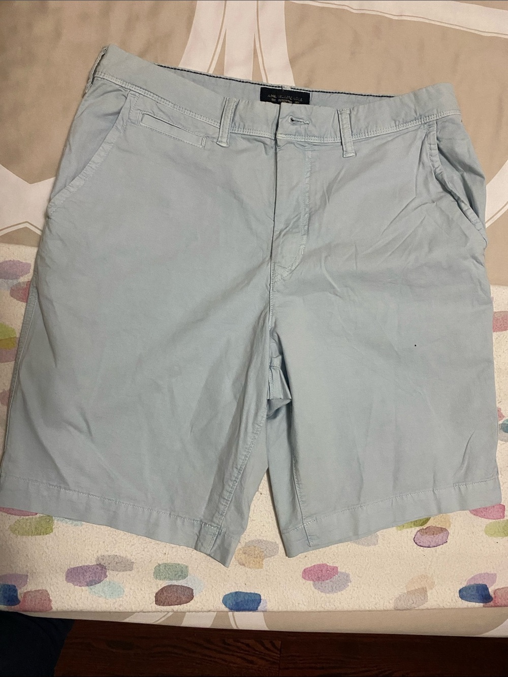 American Eagle Outfitters Light Blue Flat Front Chino Shorts